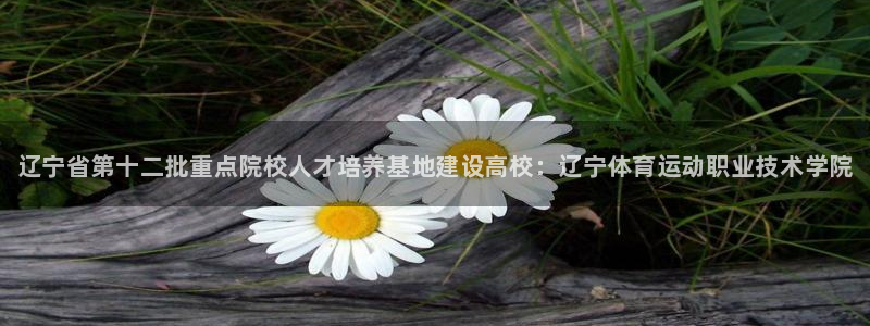 vsport体育官方正版app科技：辽宁省第十二批重