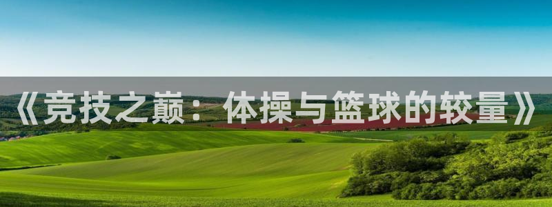 vsport体育官网下载平台假的吗是真的吗吗：《竞技