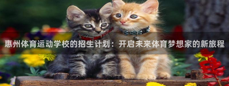 vsport体育官方正版app娱乐下载：惠州体育运动