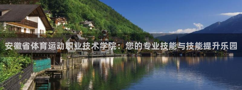 vsport体育官网下载招商电话地址：安徽省体育运动