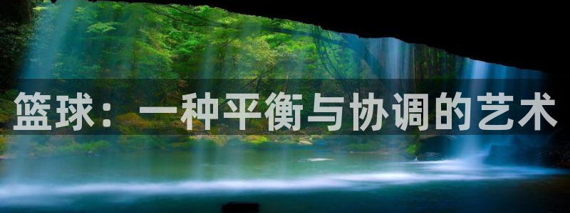 vsport体育官方正版app官网：篮球：一种平衡与协调的艺