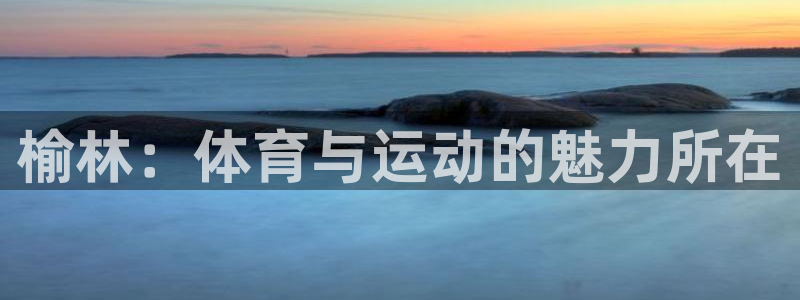 vsport体育官方正版app新能源：榆林：体育与运