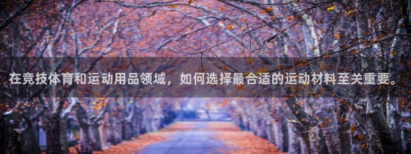 注册vsport体育官方正版app：在竞技体育和运动用品领域
