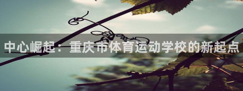 vsport体育官网下载招商电话地址查询：中心崛起：
