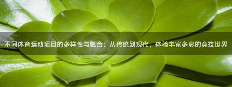vsport体育官网下载平台注册要钱吗：不同体育运动项目的多