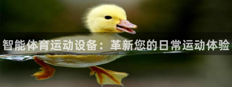 vsport体育官网下载平台是正规平台吗：智能体育运动设备：