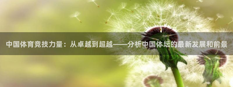 vsport体育官网下载招商电话：中国体育竞技力量：