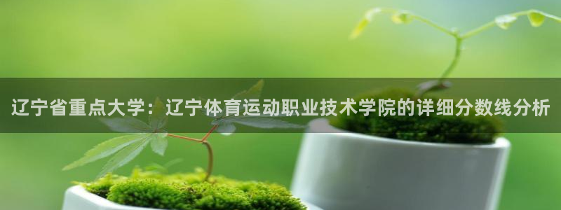 vsport体育官网下载招商电话号码是多少：辽宁省重