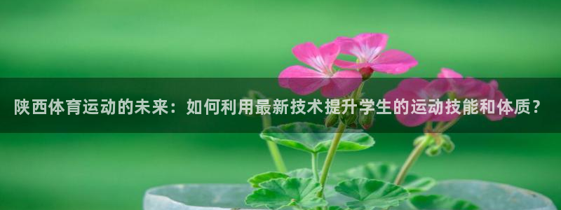 vsport体育官网下载招商：陕西体育运动的未来：如