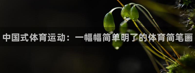 vsport体育官方正版app娱乐：中国式体育运动：