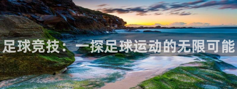 vsport体育官网下载平台注册要钱吗是真的吗：足球