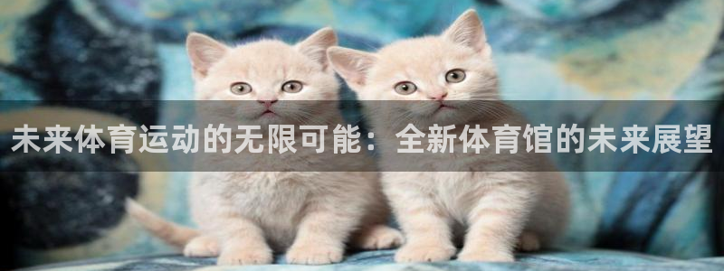 vsport体育官方正版app集团E.ON：未来体育