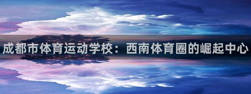 vsport体育官方正版app五金厂：成都市体育运动