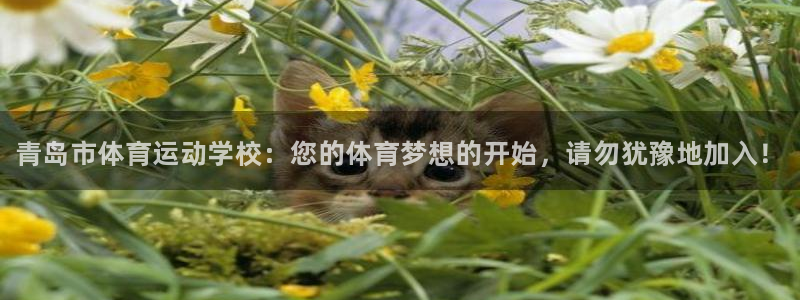 vsport体育官网下载招商：青岛市体育运动学校：您