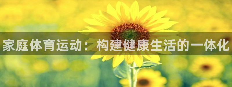 vsport体育官方正版app娱乐：家庭体育运动：构