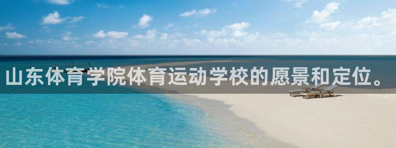 vsport体育官方正版app官网：山东体育学院体育