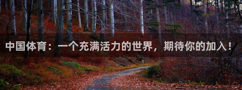 vsport体育官方正版app娱乐首页官网下载：中国