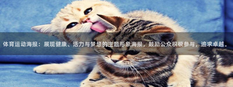 vsport体育官网下载招商电话号码：体育运动海报：