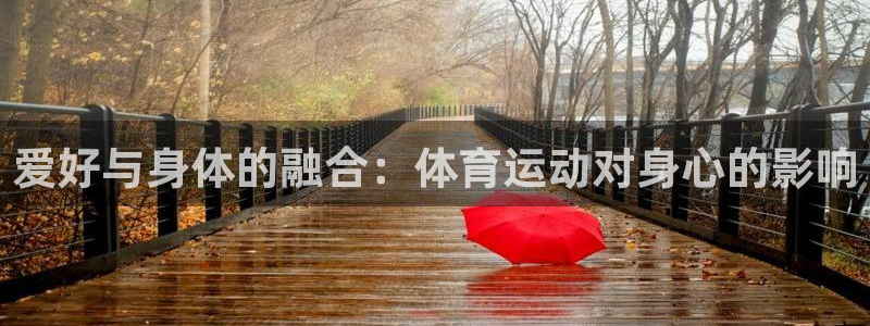 海南vsport体育官网下载：爱好与身体的融合：体育