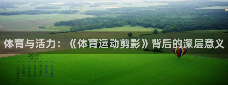 vsport体育官网下载娱乐：体育与活力：《体育运动