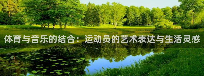 vsport体育官方正版app娱乐是那个系列的台子：体育与音