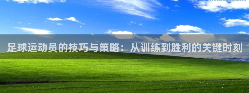 注册vsport体育官方正版app：足球运动员的技巧