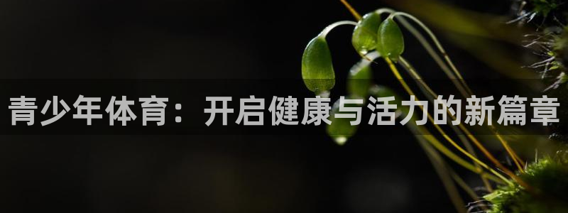 vsport体育官方正版app娱乐