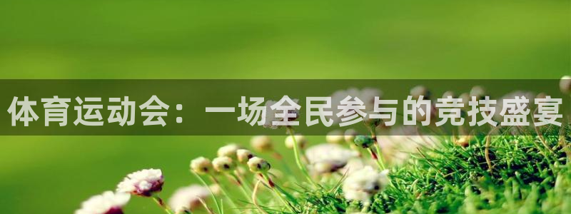 注册vsport体育官方正版app：体育运动会：一场