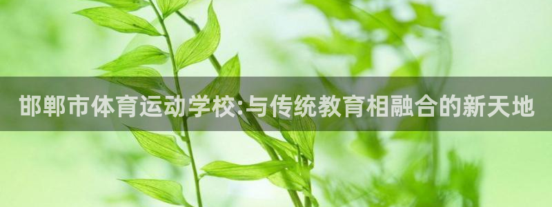 vsport体育官方正版app娱乐网站：邯郸市体育运