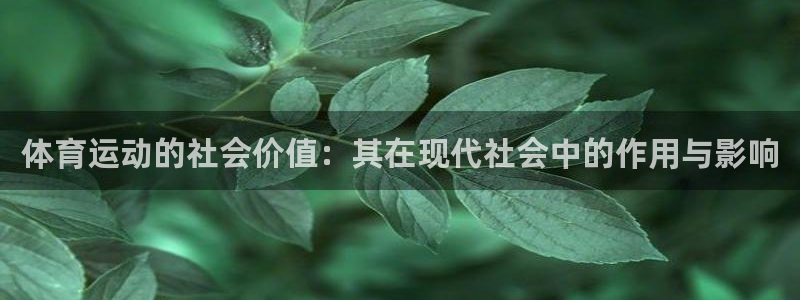 vsport体育官网下载平台注册：体育运动的社会价值：其在现