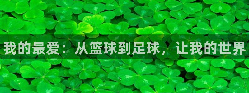 vsport体育官方正版app神州：我的最爱：从篮球到足球，