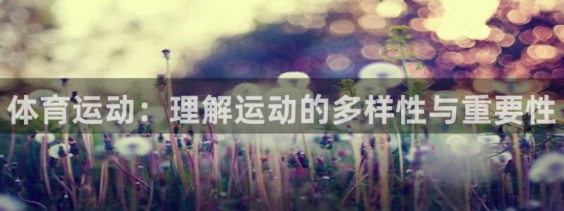 vsport体育官方正版app科技：体育运动：理解运动的多样