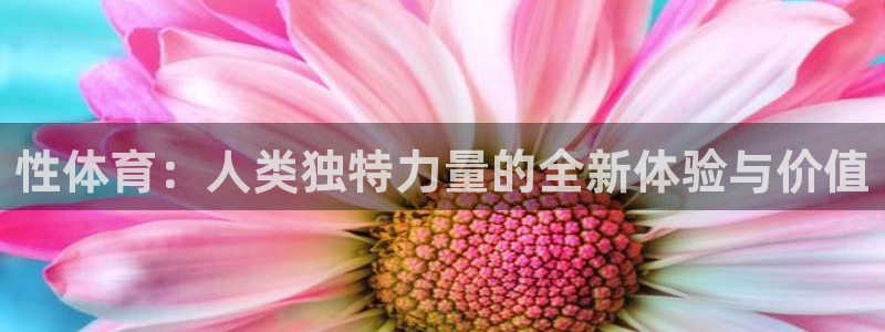 vsport体育官方正版app娱乐平台
