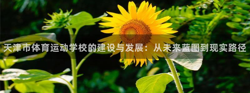 vsport体育官方集团官网：天津市体育运动学校的建