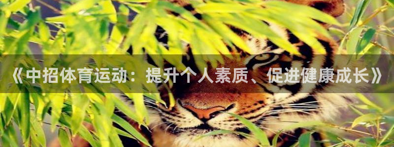 vsport体育官方正版app娱乐下载：《中招体育运