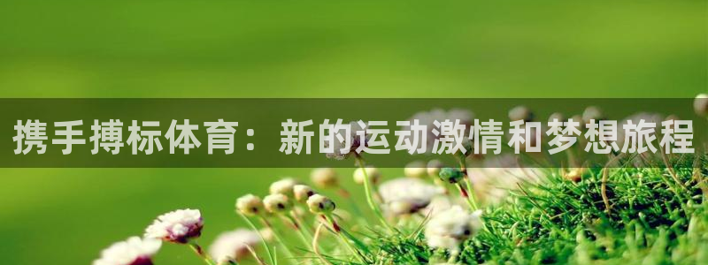 vsport体育官网下载平台APP：携手搏标体育：新