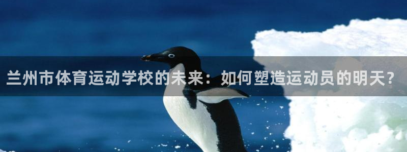 vsport体育官网下载软件