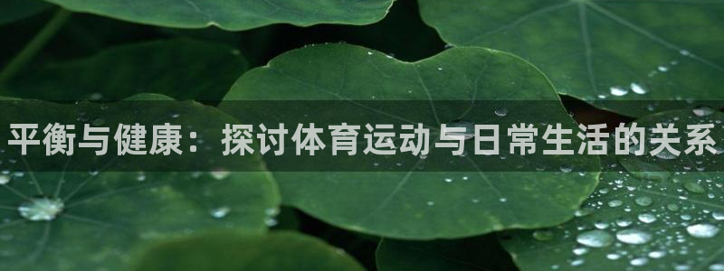 vsport体育官方正版app代理：平衡与健康：探讨
