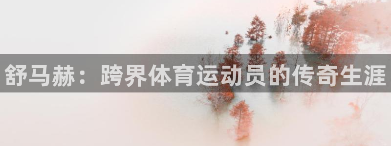 vsport体育官网下载软件