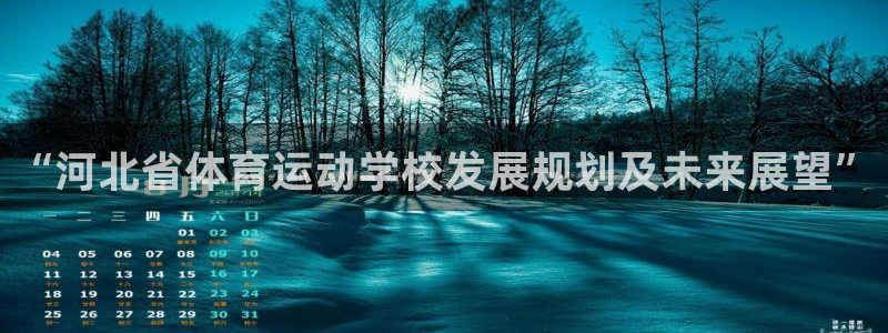 vsport体育官方正版app集团简介