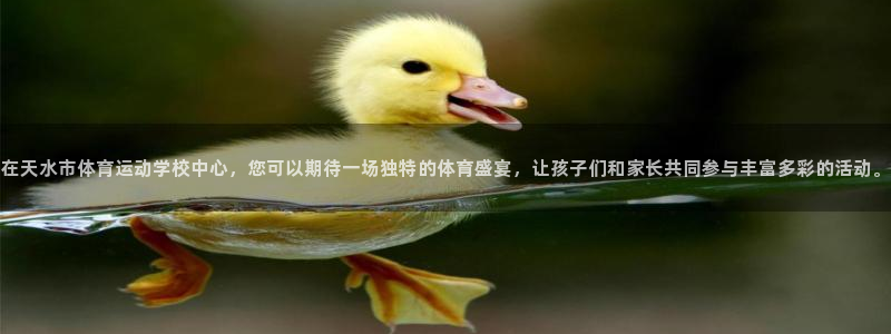 vsport体育官方正版app神州