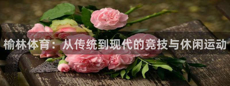 vsport体育官网下载平台注册要钱吗是真的吗：榆林