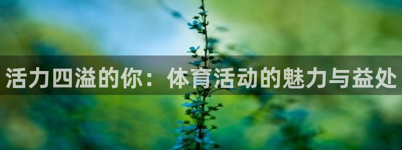 vsport体育官网下载招商电话地址是多少：活力四溢