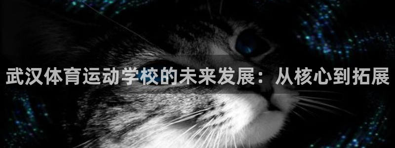 vsport体育官网下载平台注册流程图：武汉体育运动学校的未