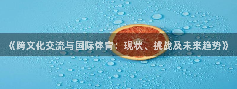 德国vsport体育官方正版app集团：《跨文化交流与国际体