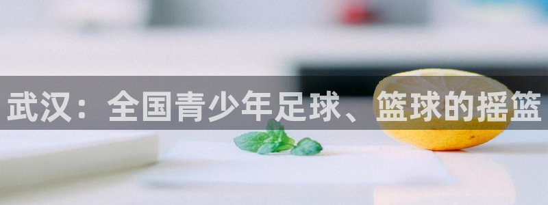 vsport体育官网下载开户：武汉：全国青少年足球、篮球的摇