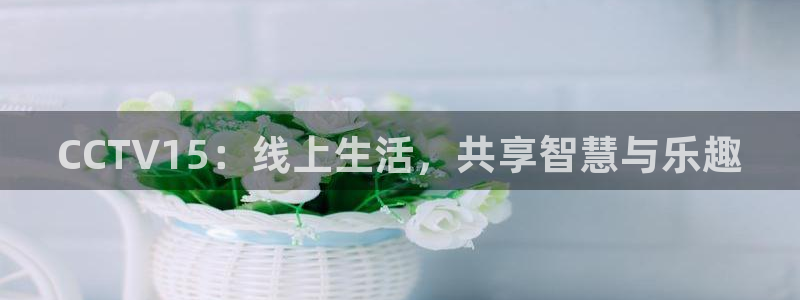 so米体育赛事：CCTV15：线上生活，共享智慧与乐趣